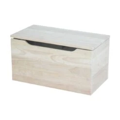 TC-922 22 Inch Storage Chest