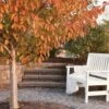 940 Poly English Garden Bench