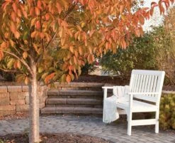 940 Poly English Garden Bench